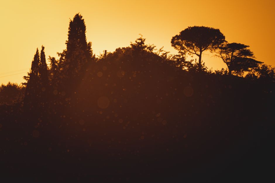 Capture of a tranquil sunset with silhouetted trees and hills against a warm orange sky.